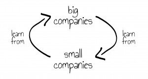 Big vs Small Learnings